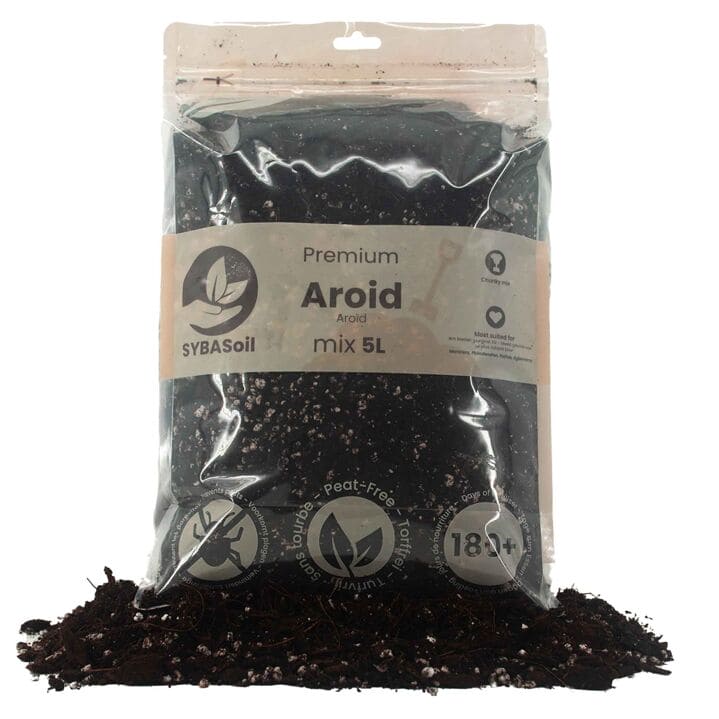 AROID MIX