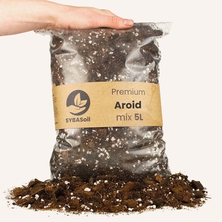 AROID MIX