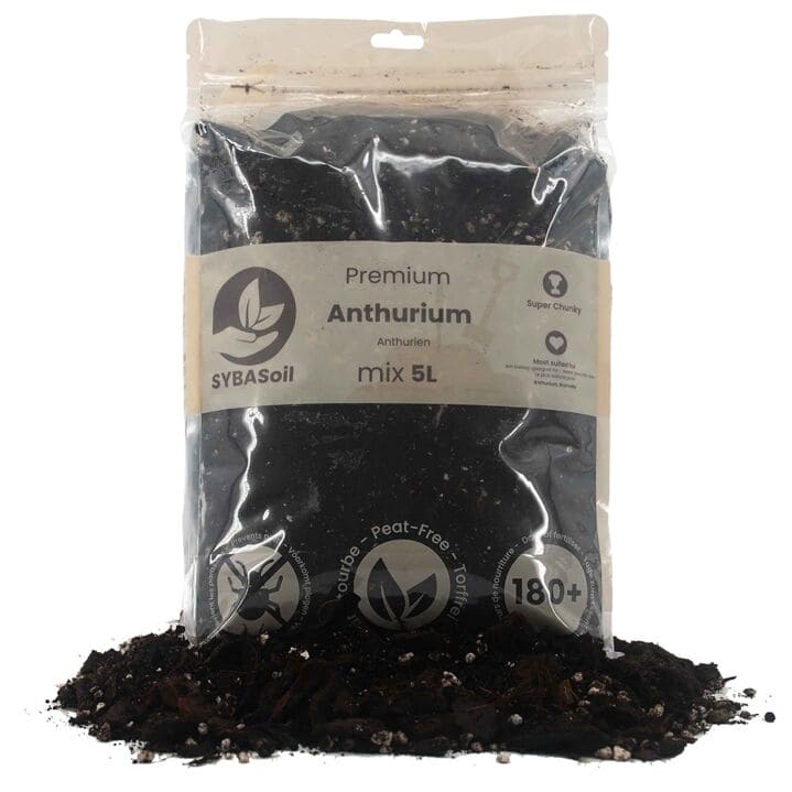 ANTHURIUM MIX
