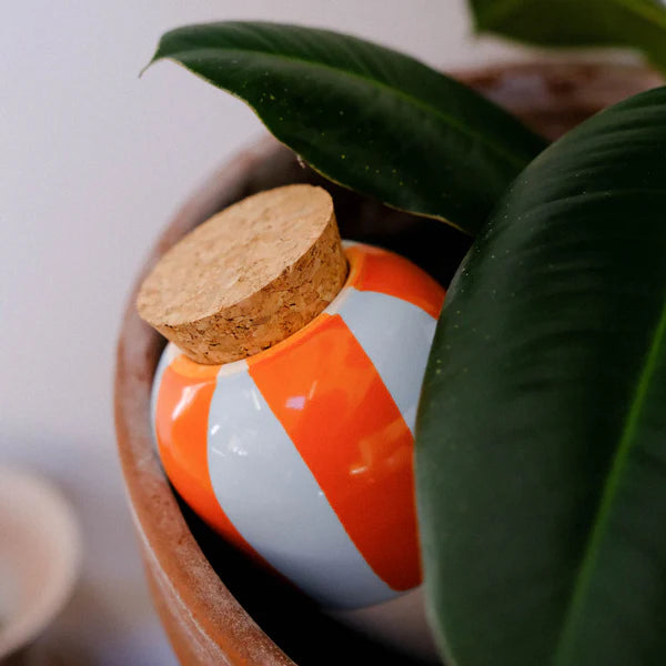 Olla Pepin - Rayé orange