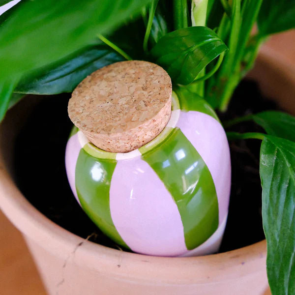 Olla Pepin - Rayé vert