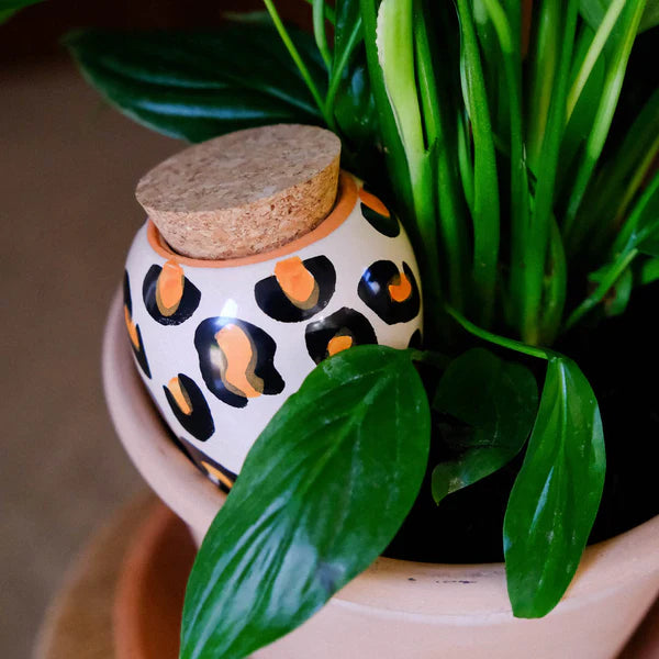 Olla Pepin - Léopard