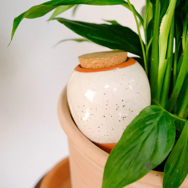 Olla Pepin - Blanc grainé
