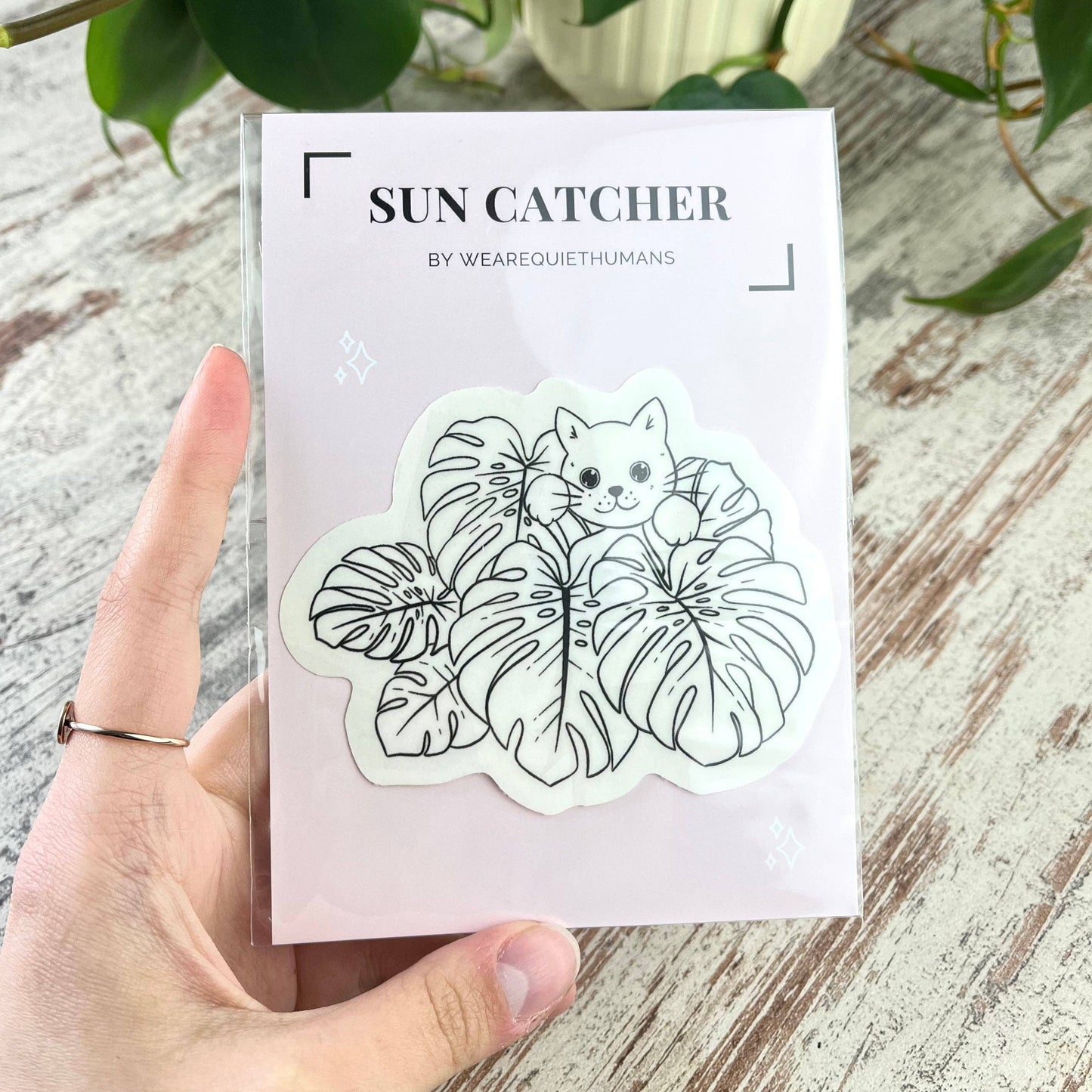 Attrape soleil - MONSTERA & CHAT