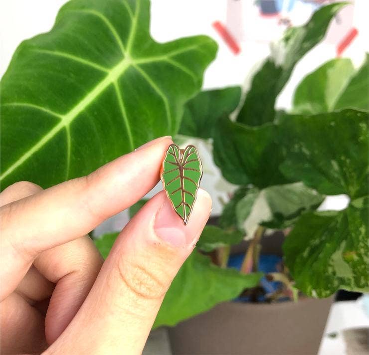 Pin's émaillé - FEUILLE FRYDEK