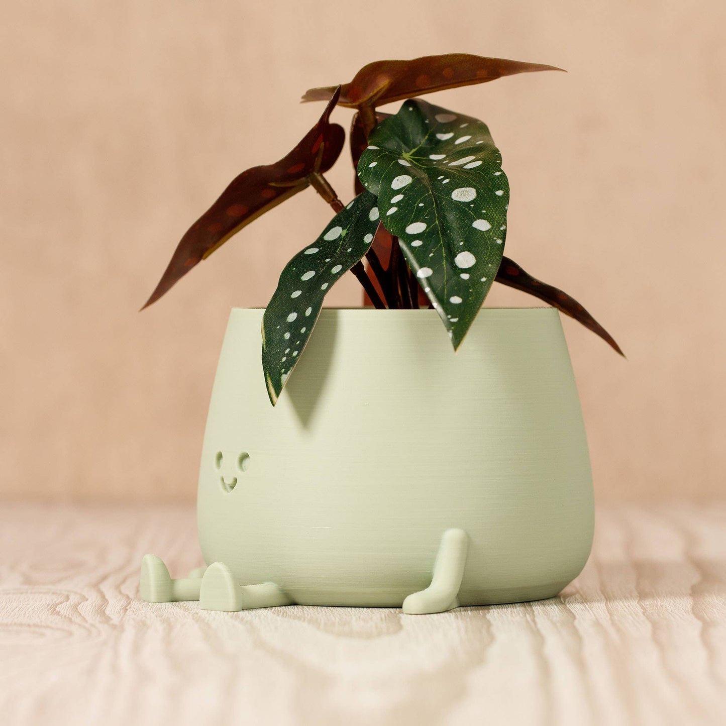 HAPPY POT - Sauge
