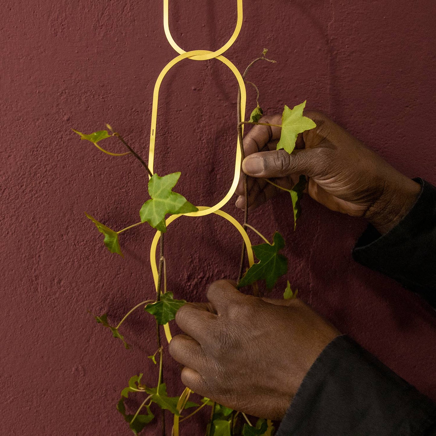 CHAINES EN LAITON pour plantes grimpantes