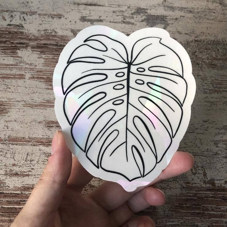 Attrape soleil - FEUILLE MONSTERA DELICIOSA