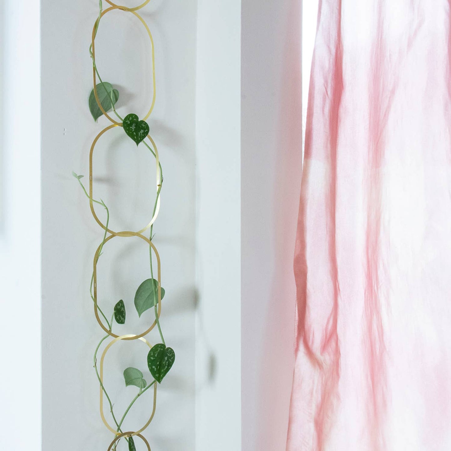 CHAINES EN LAITON pour plantes grimpantes