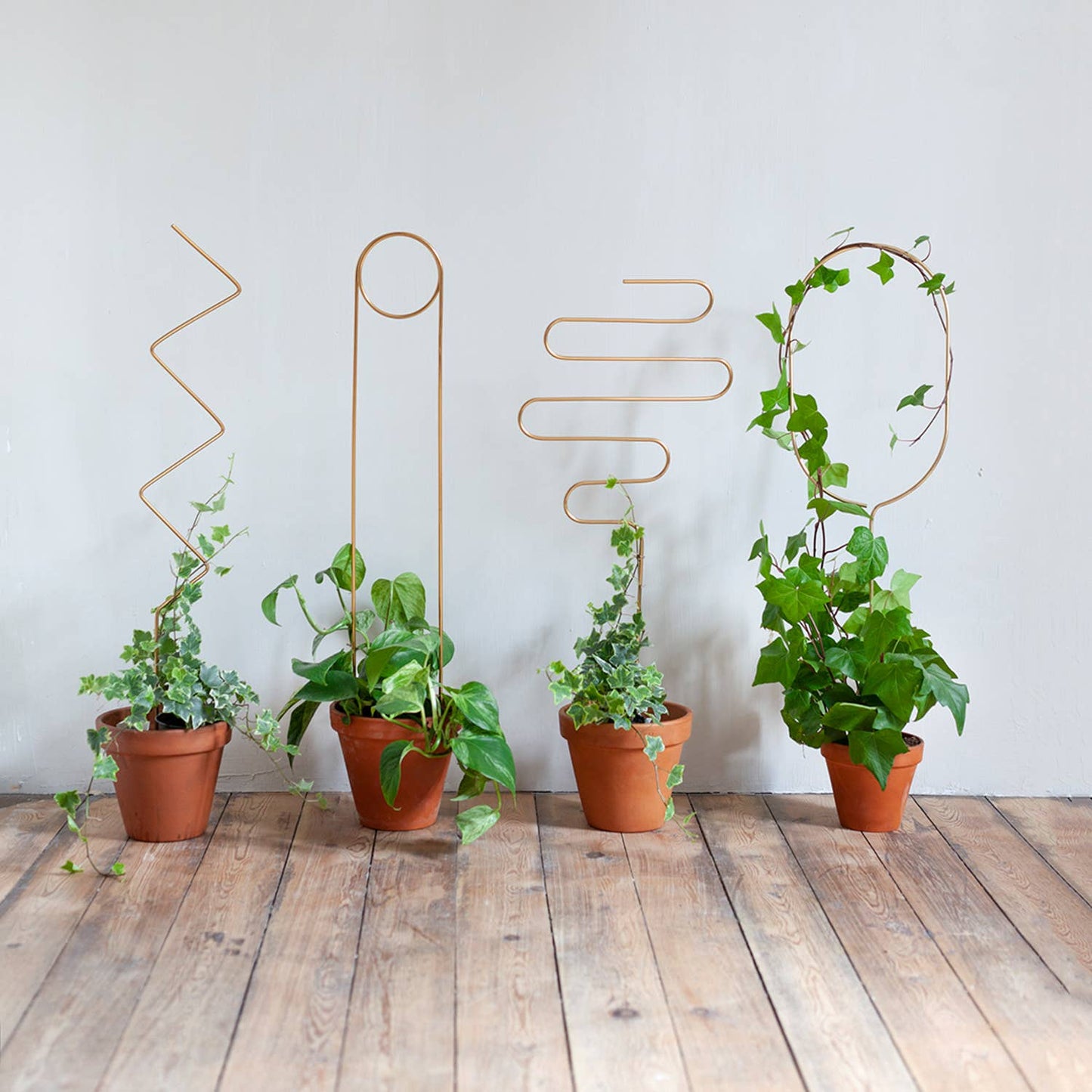 Tuteur doré – SQUIGGIE