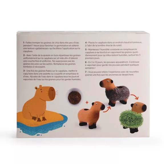 CAPYBARA à faire pousser