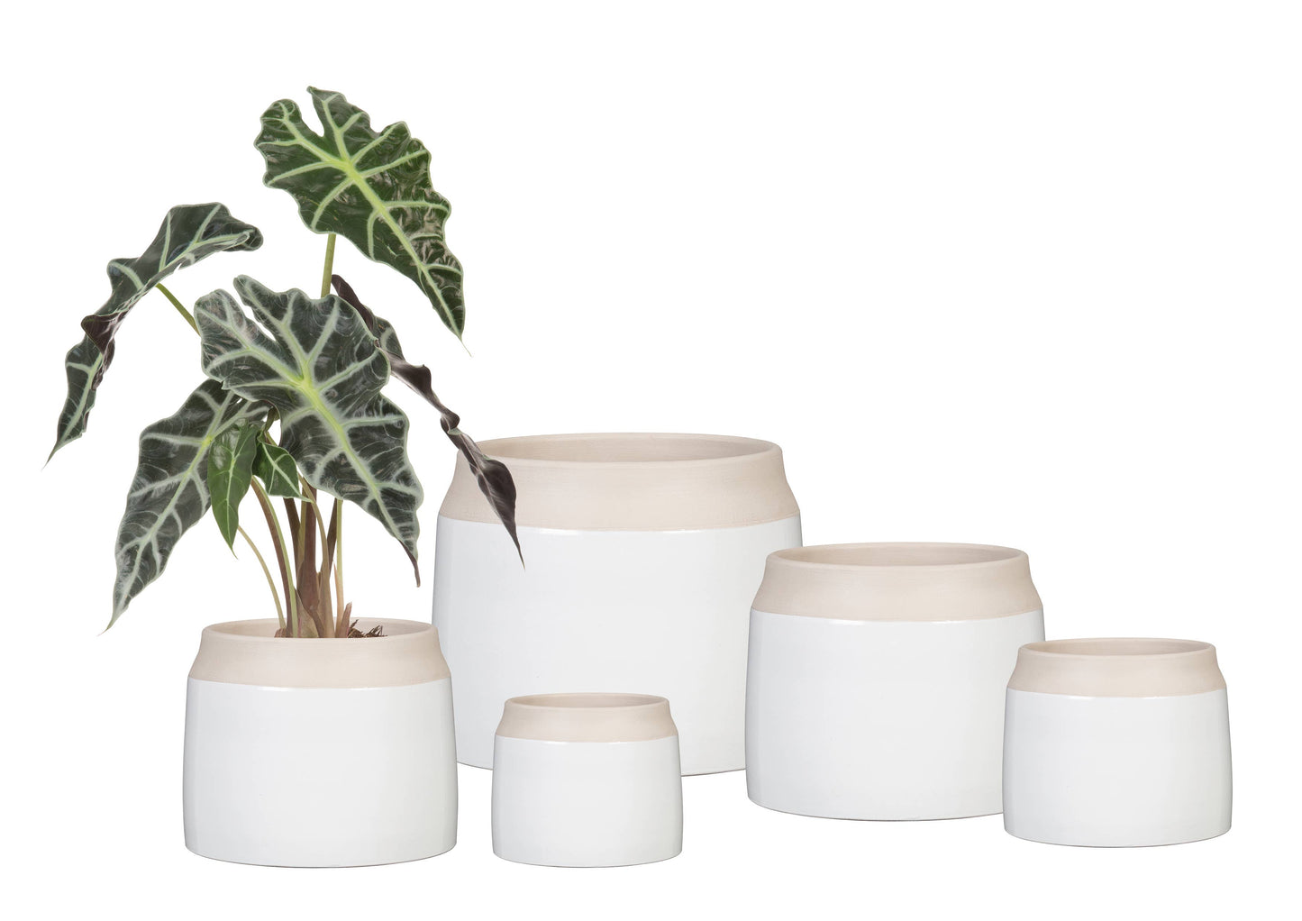 Cache pot JARRO
