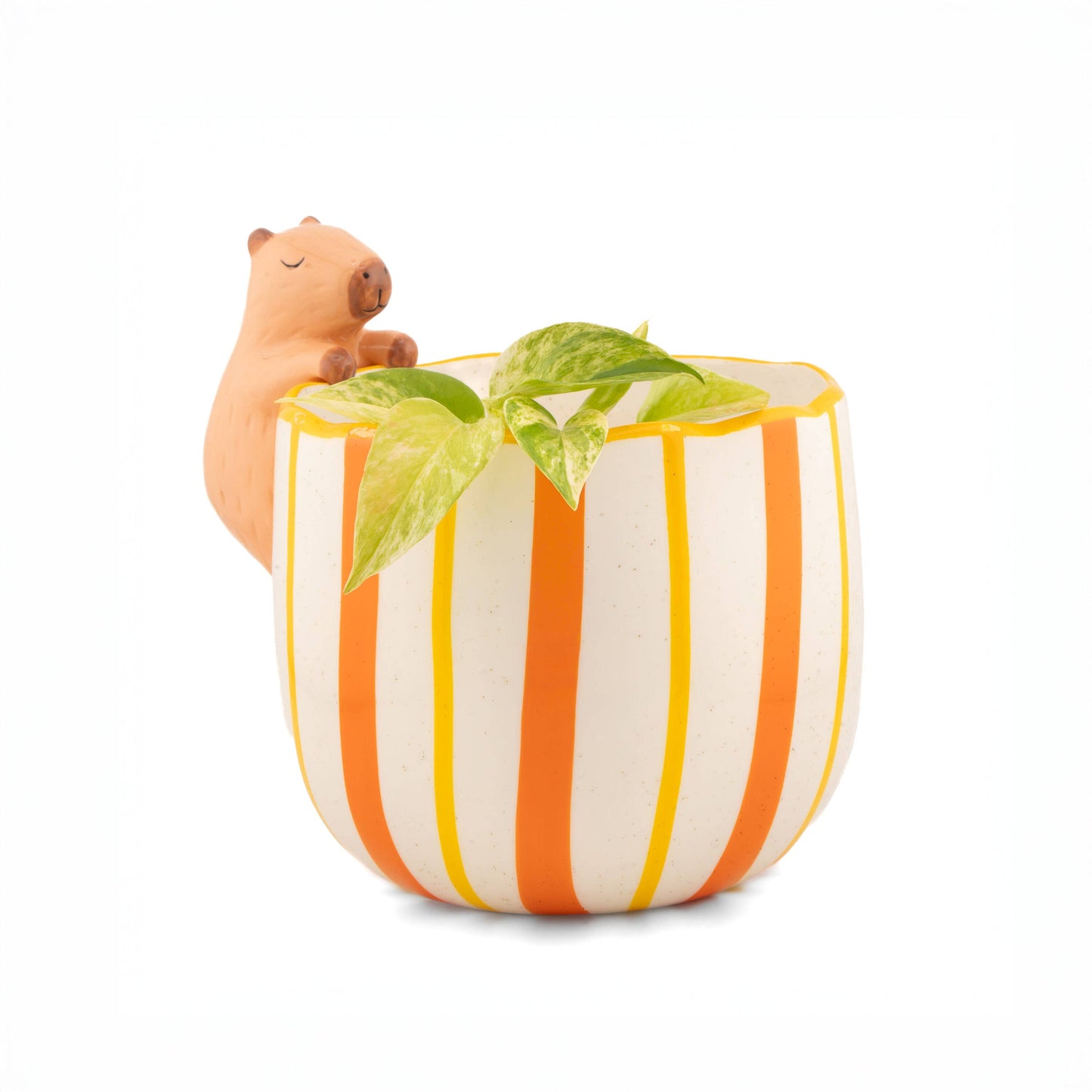 Cache-pot CAPYBARA CURIEUX