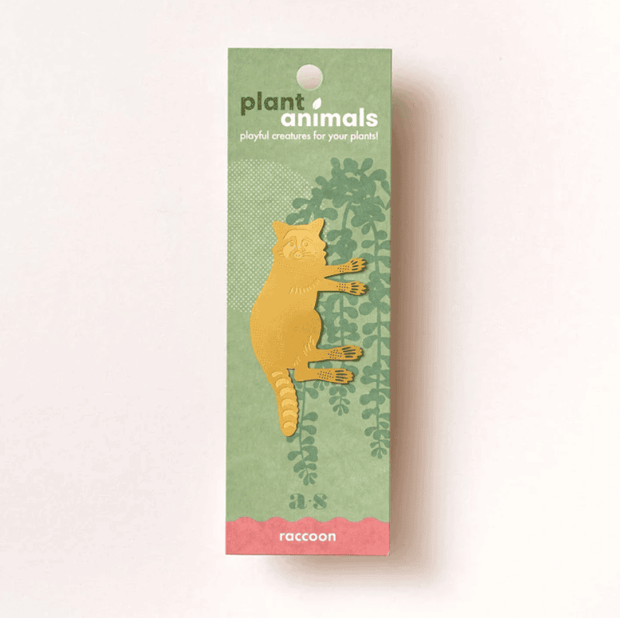 Plant animal - RATON LAVEUR