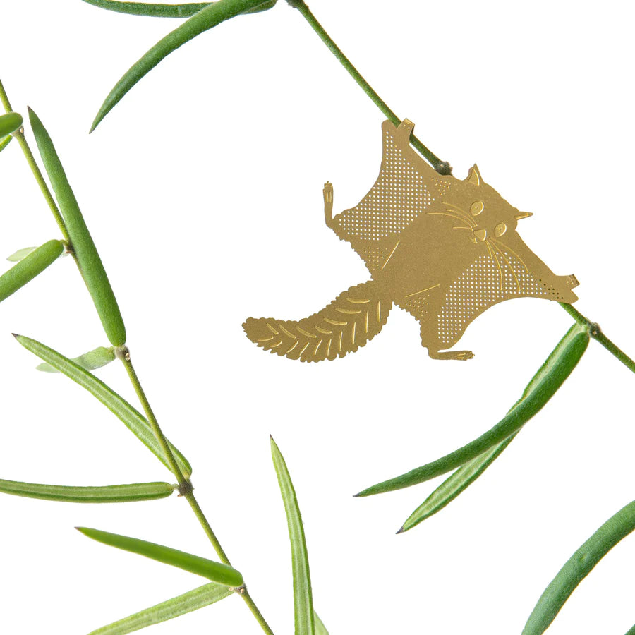 Plant animal - ECUREUIL VOLANT