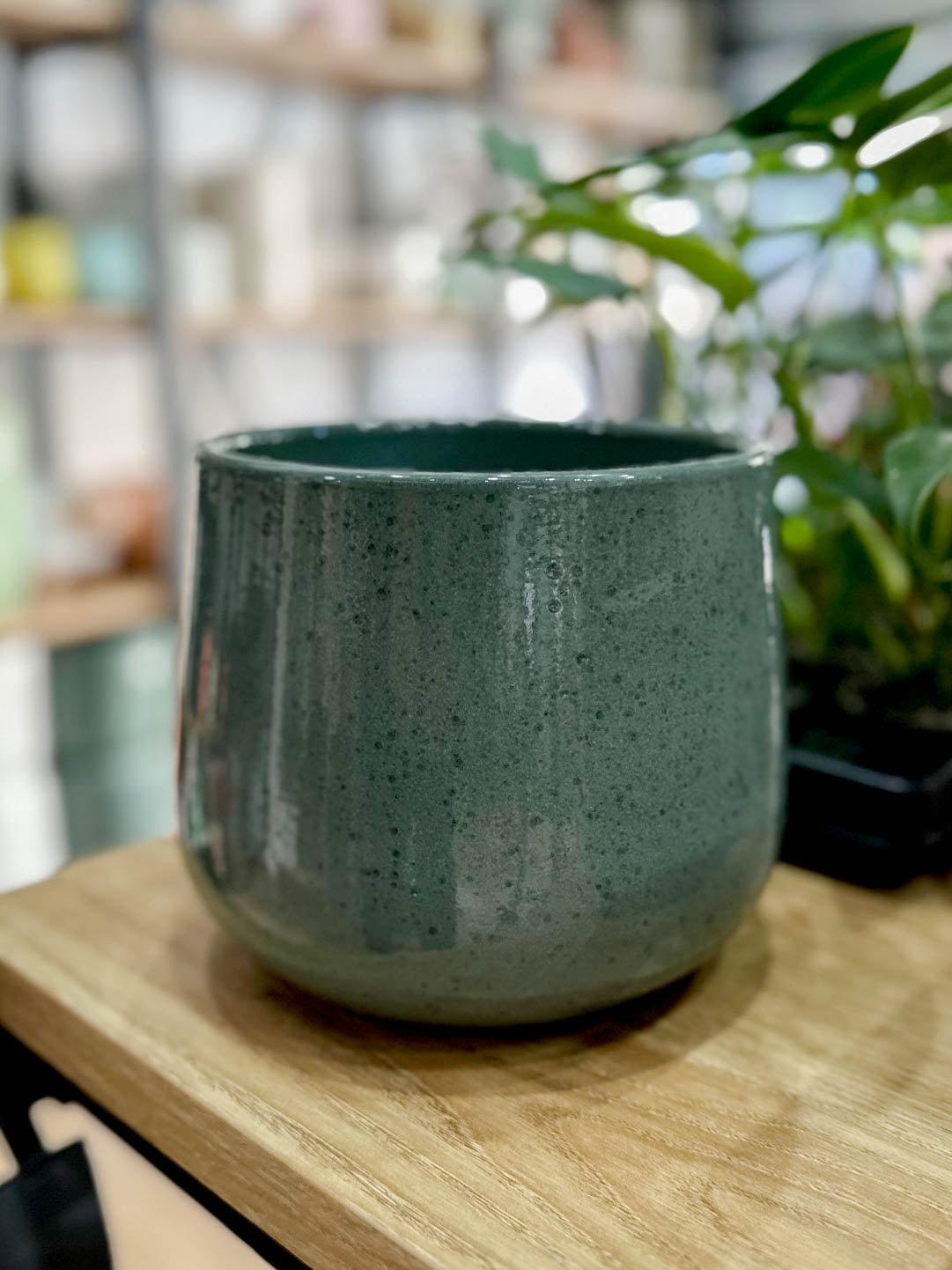 Cache-pot mouchetée DION