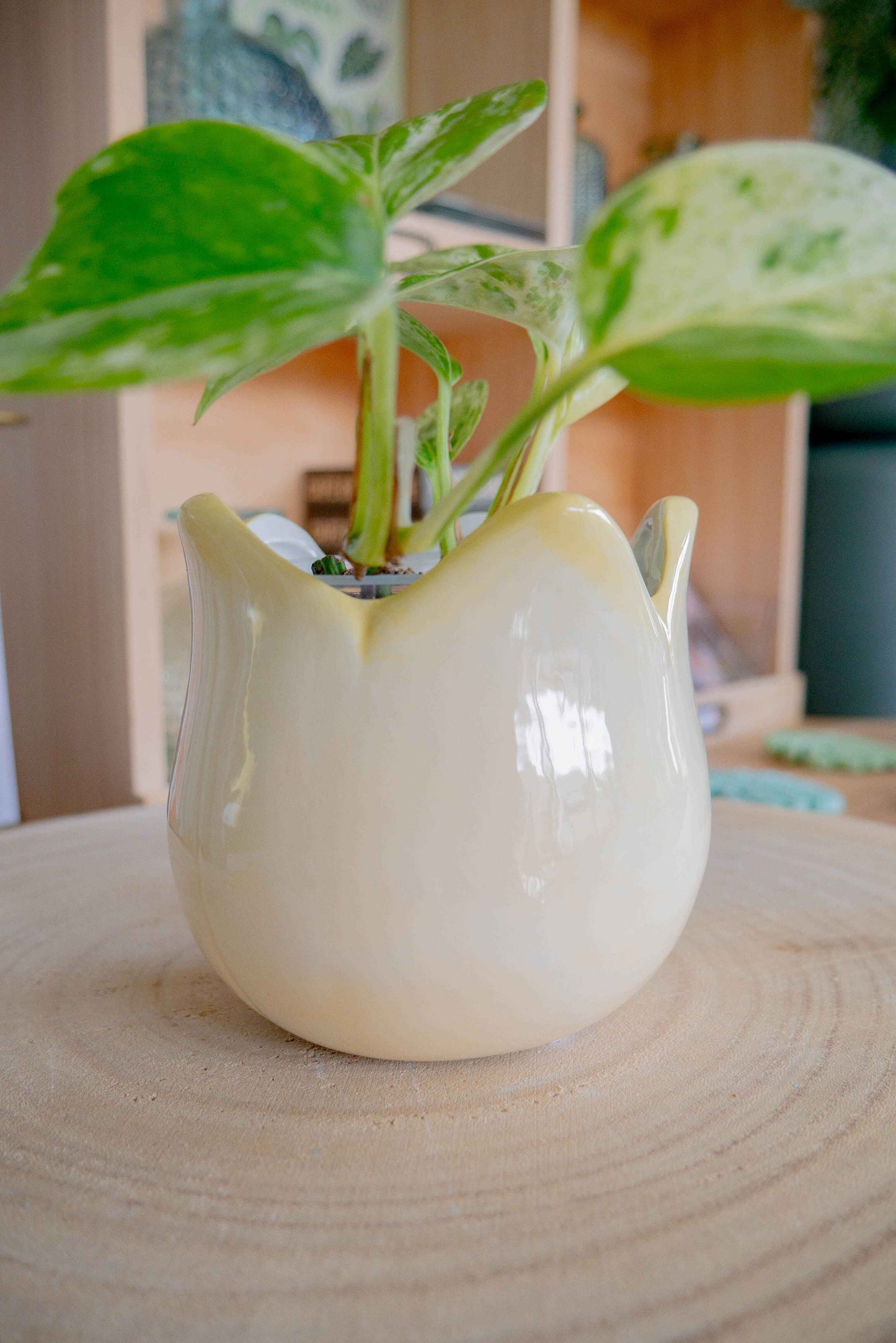Cache-pot TULIPE jaune