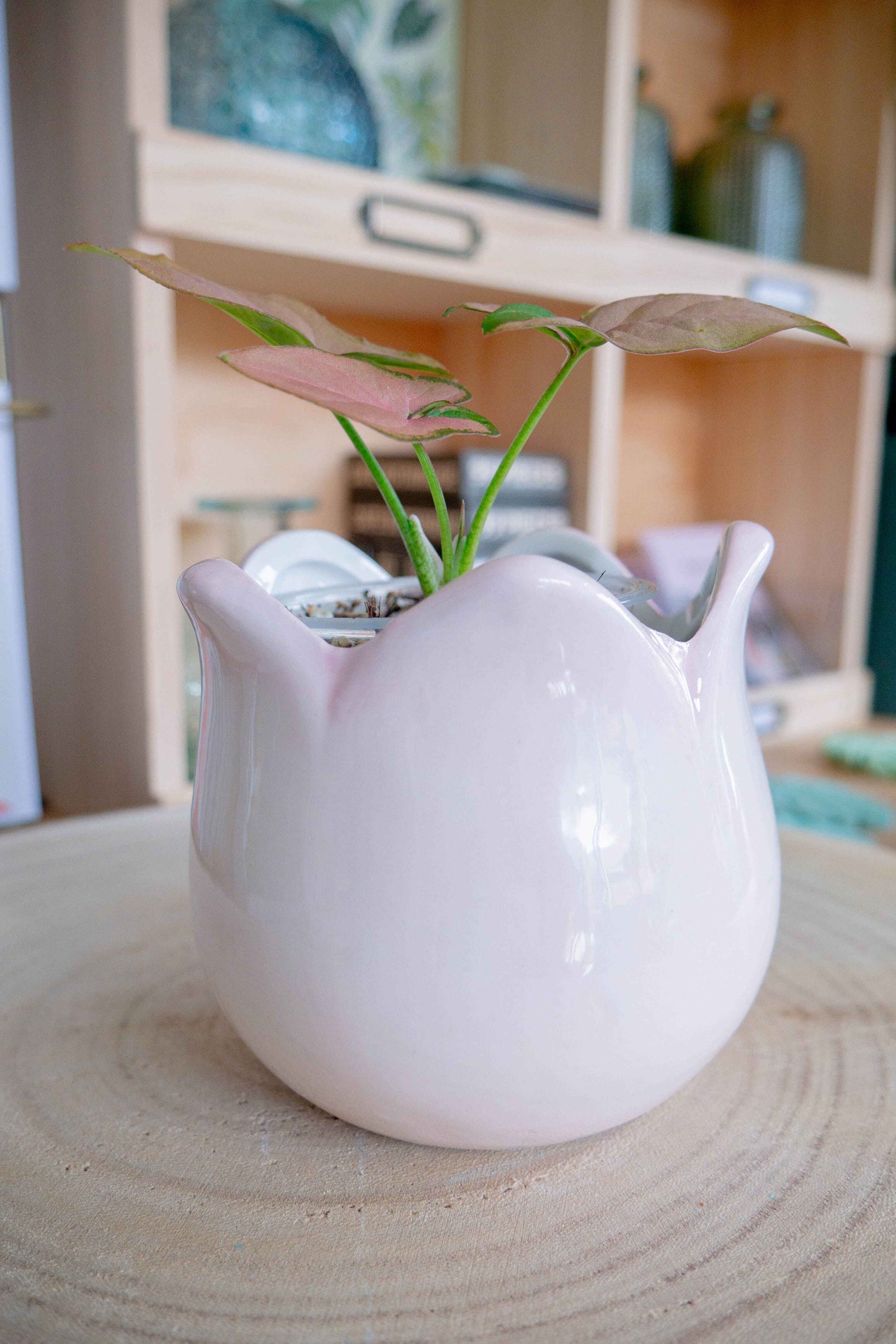 Cache-pot TULIPE rose