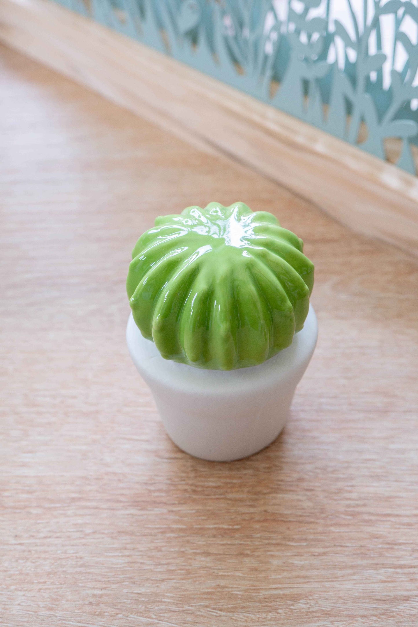 CACTUS BOULE