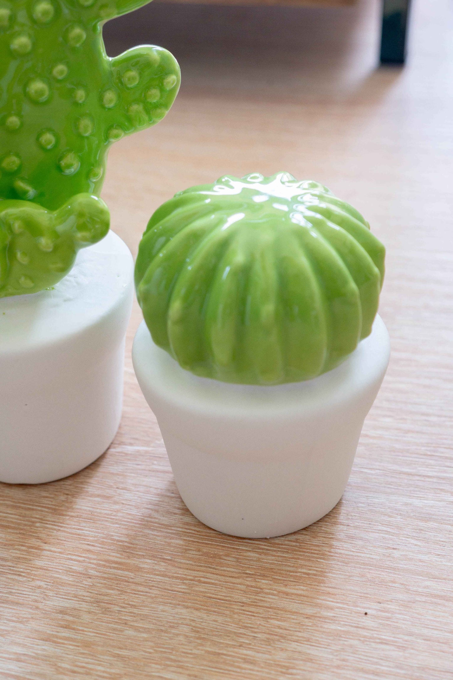 CACTUS BOULE