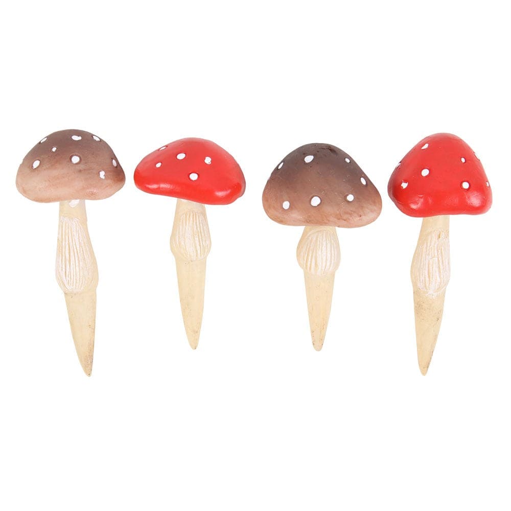 CHAMPIGNONS à planter (lot de 4)