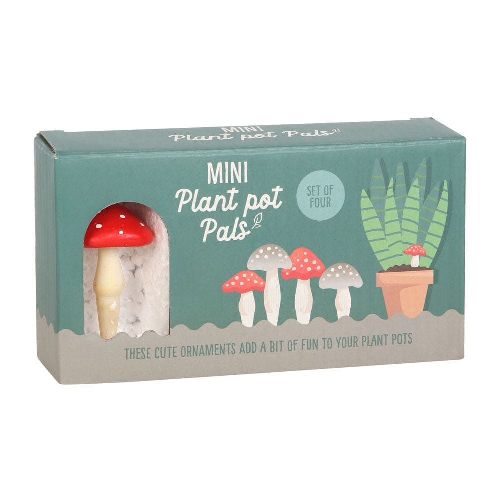 CHAMPIGNONS à planter (lot de 4)