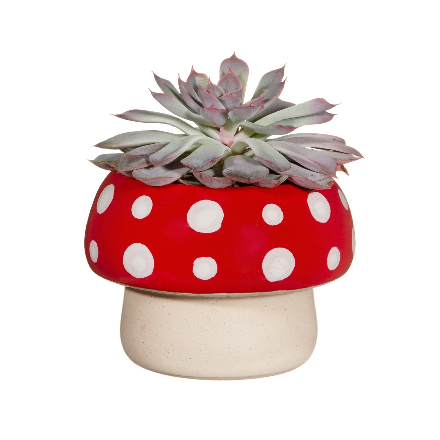 Cache-pot MUSHROOM