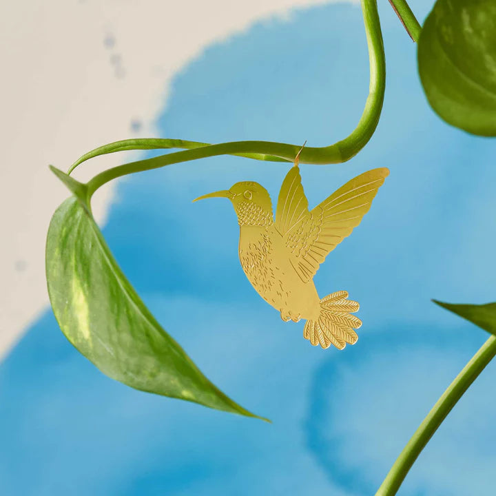 Plant animal - COLIBRI