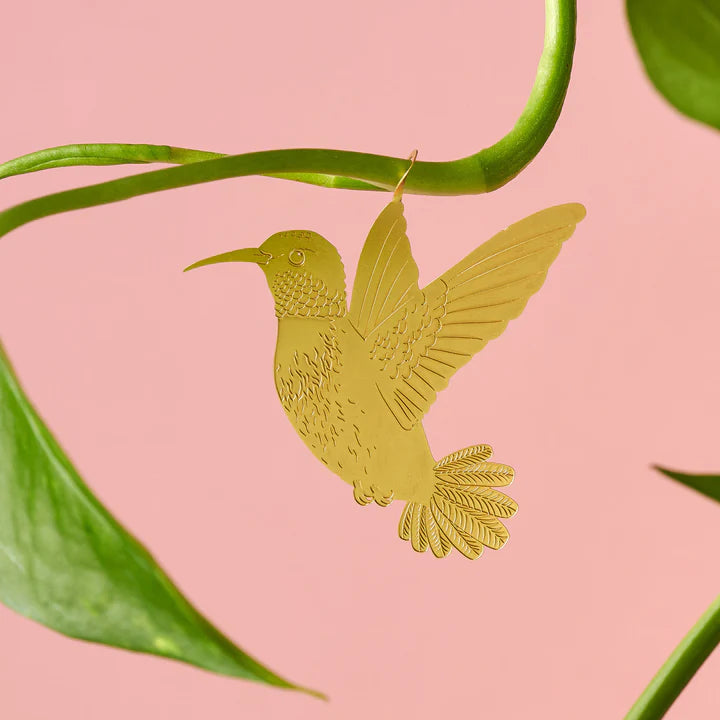 Plant animal - COLIBRI