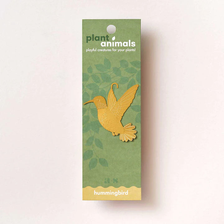 Plant animal - COLIBRI