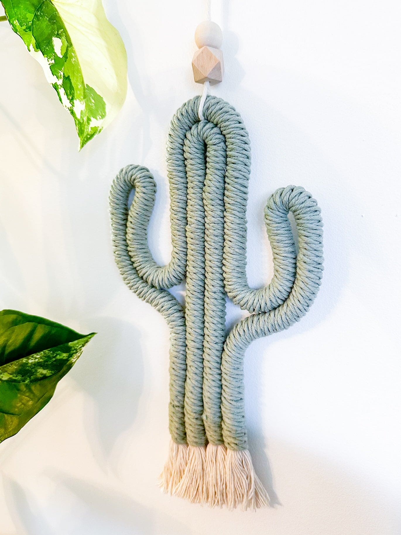 suspension CACTUS grand