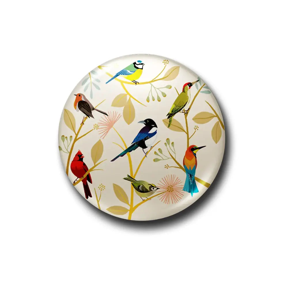 Magnet décapsuleur LES OISEAUX