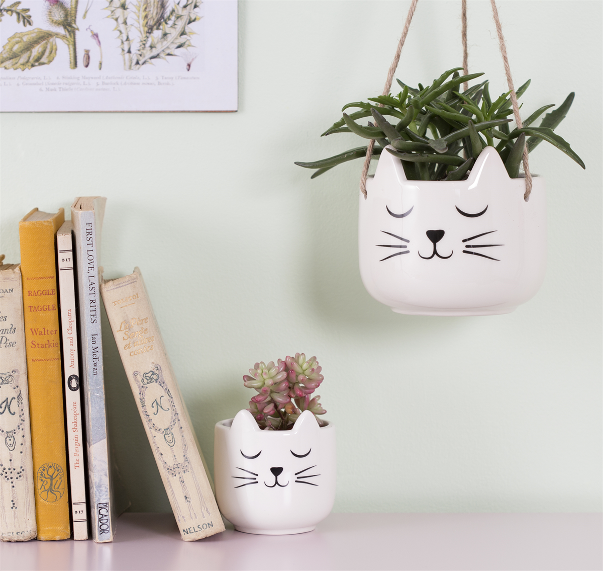 Cache-pot mini CAT