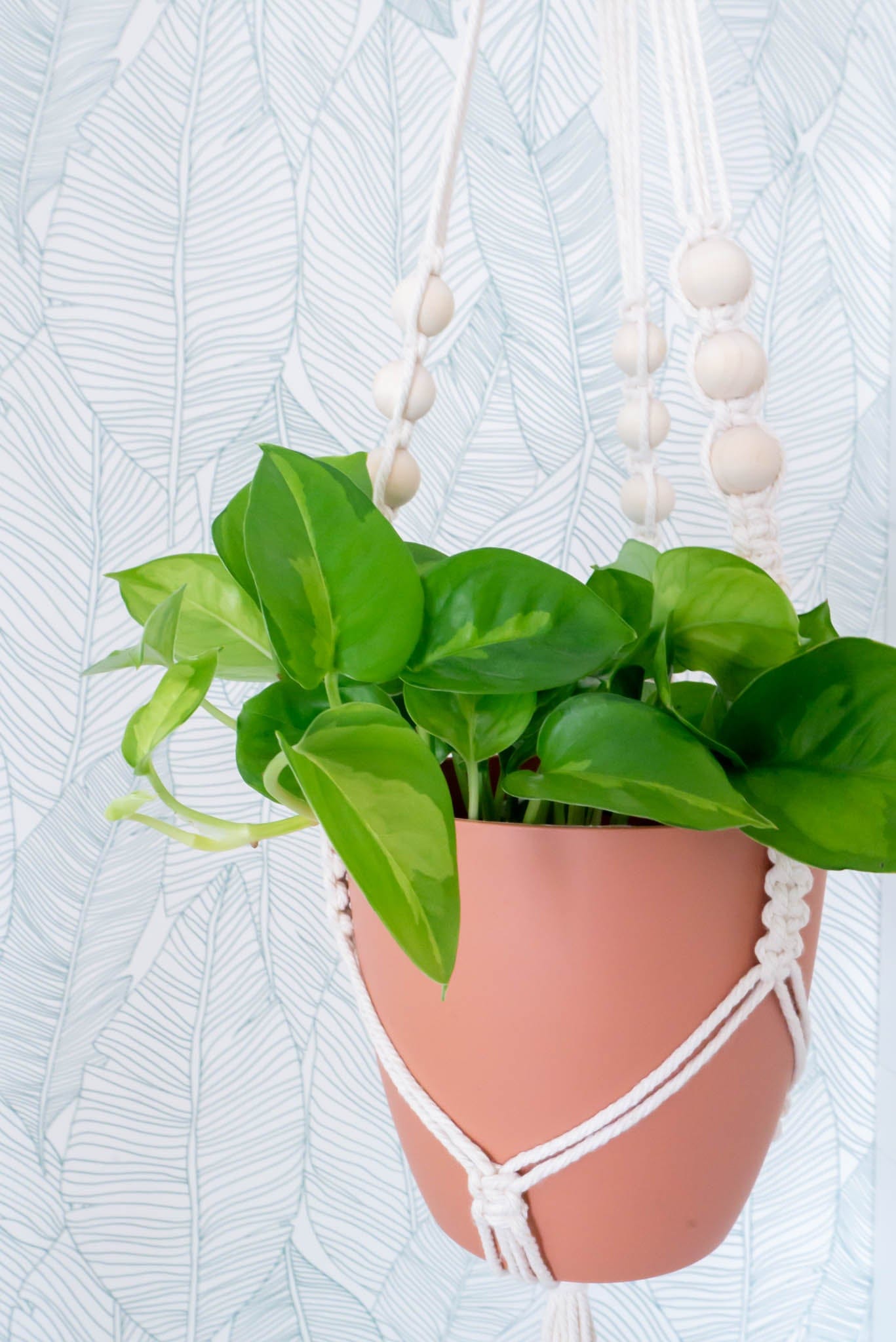 Porte plante LINA