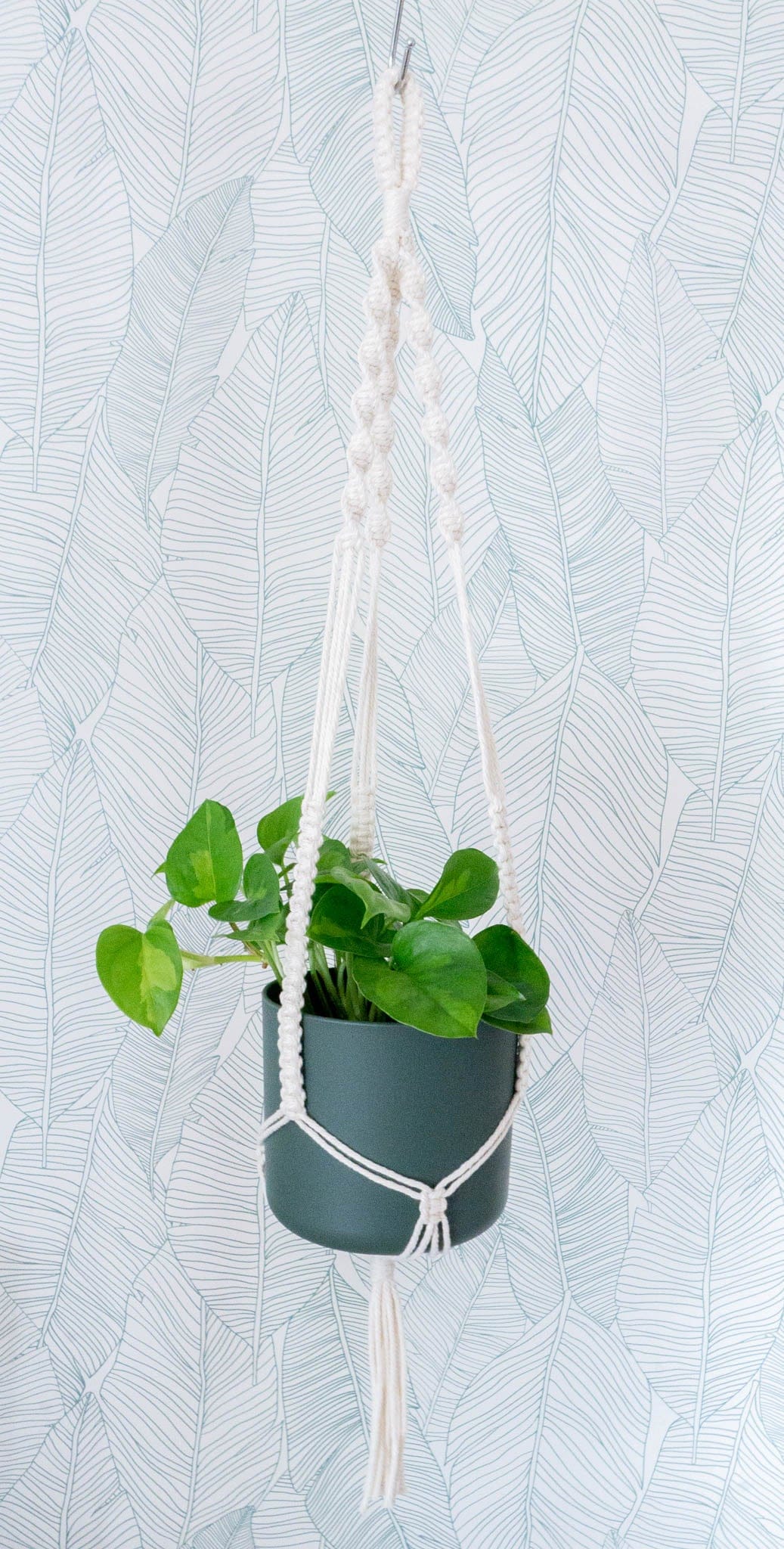 Porte plante WILD