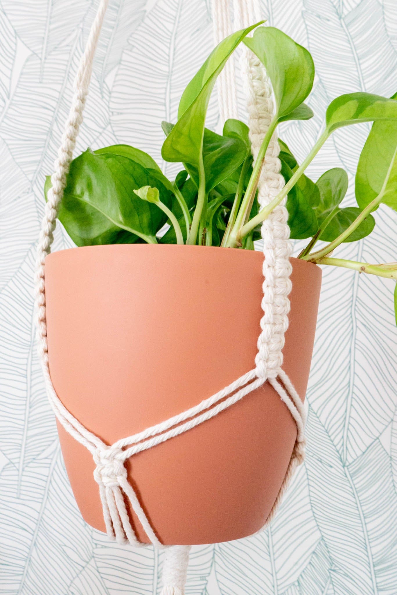 Porte plante WILD