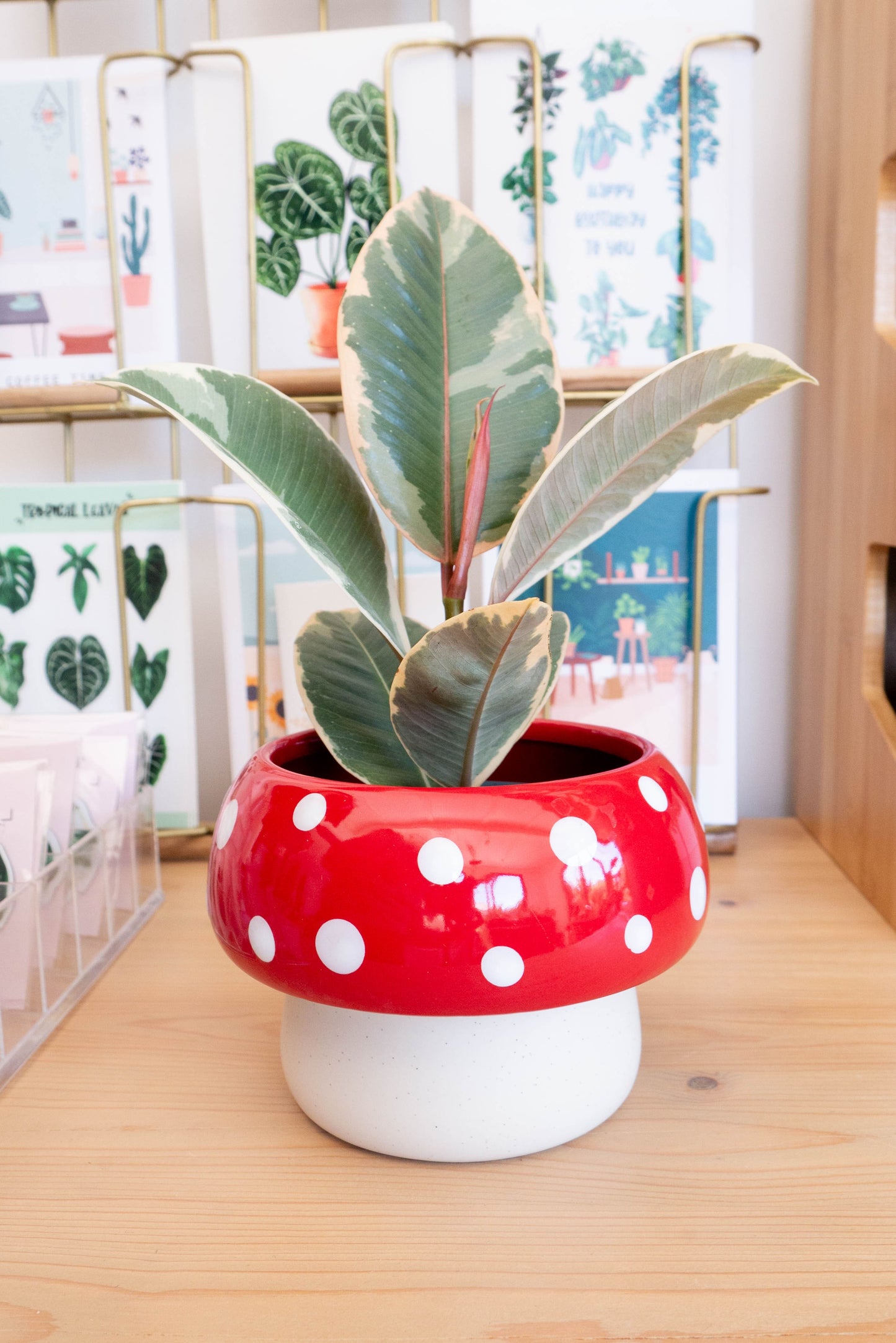 Cache-pot MUSHROOM