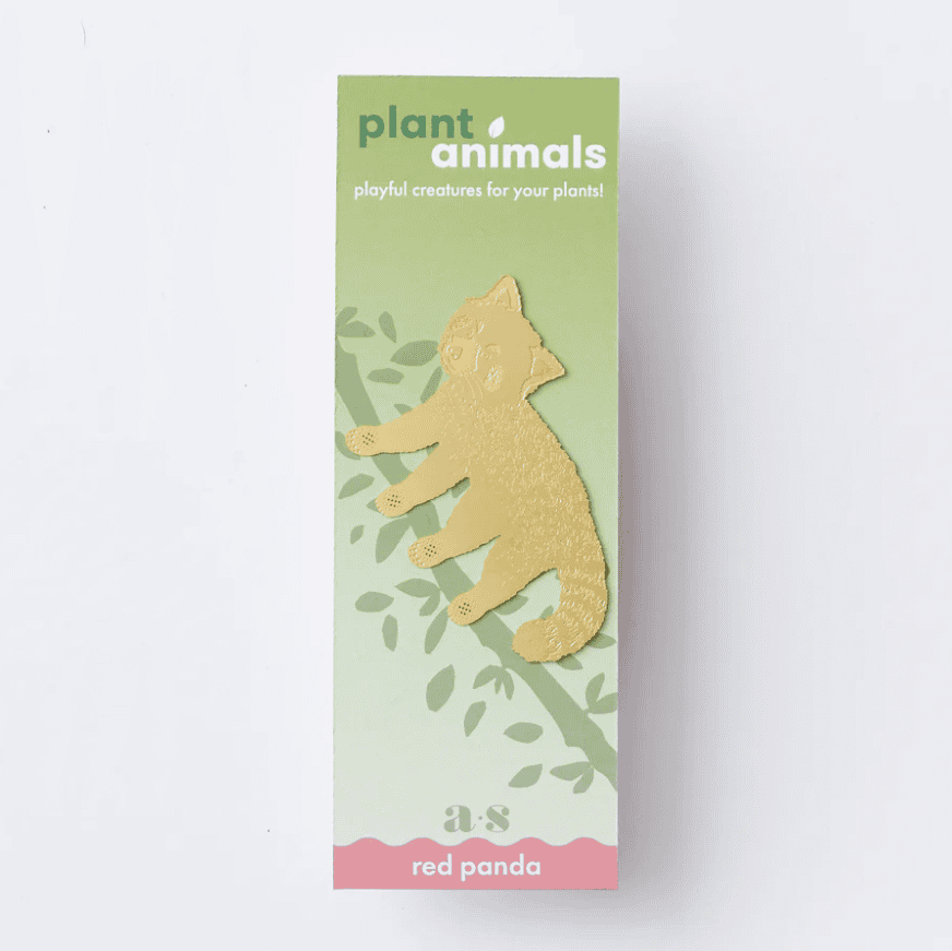 Plant animal - PANDA ROUX