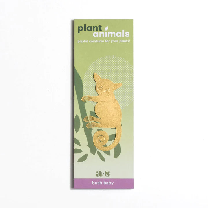 Plant animal - GALAGO