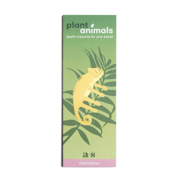 Plant animal - CAMÉLÉON