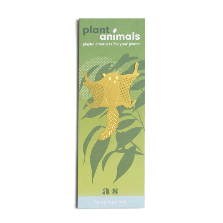 Plant animal - ECUREUIL VOLANT