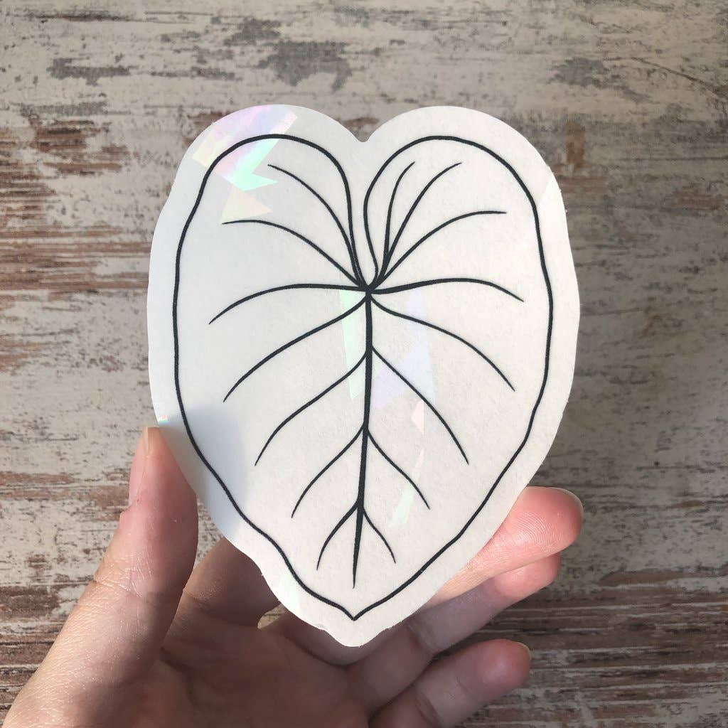 Attrape soleil - FEUILLE PHILODENDRON