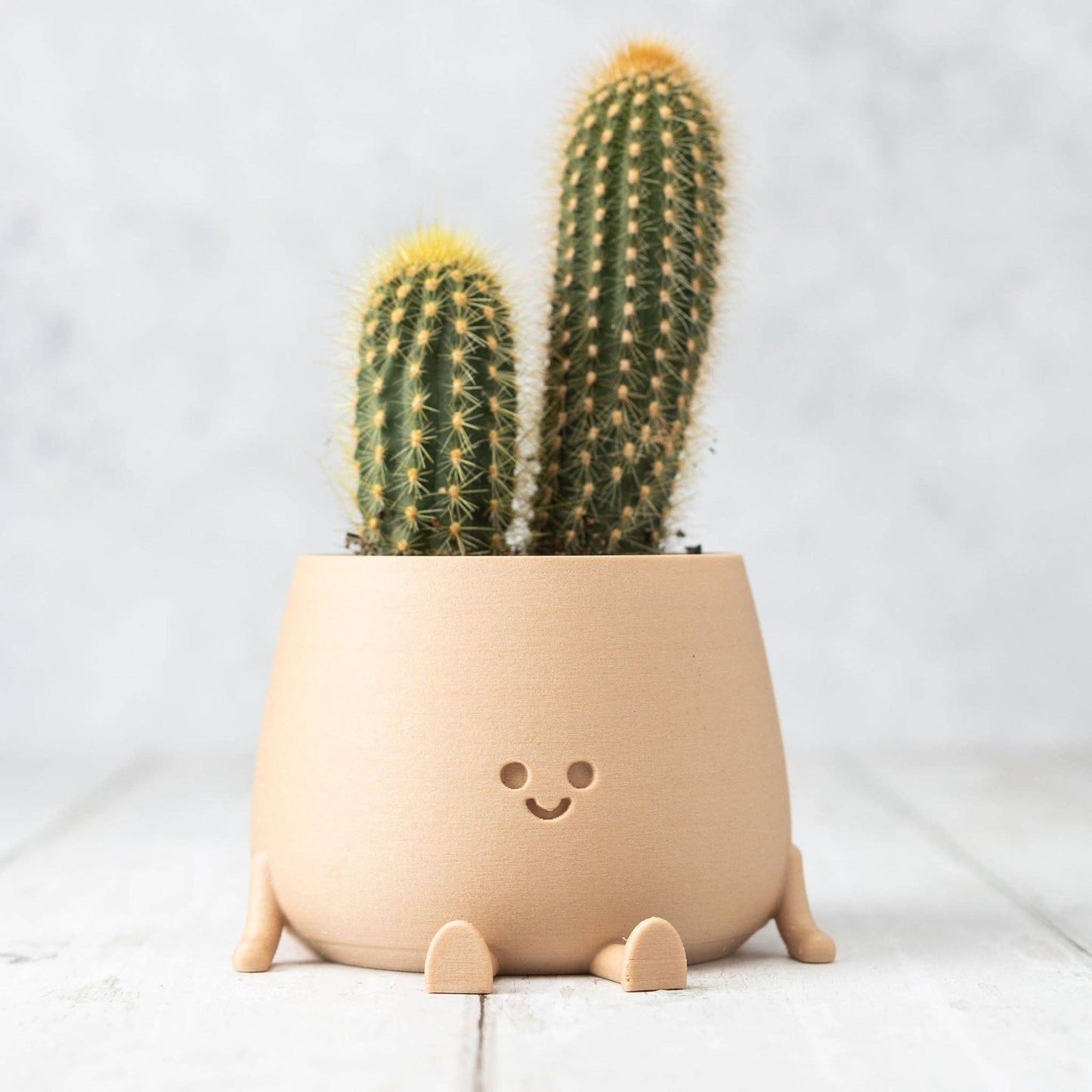 HAPPY POT- bois