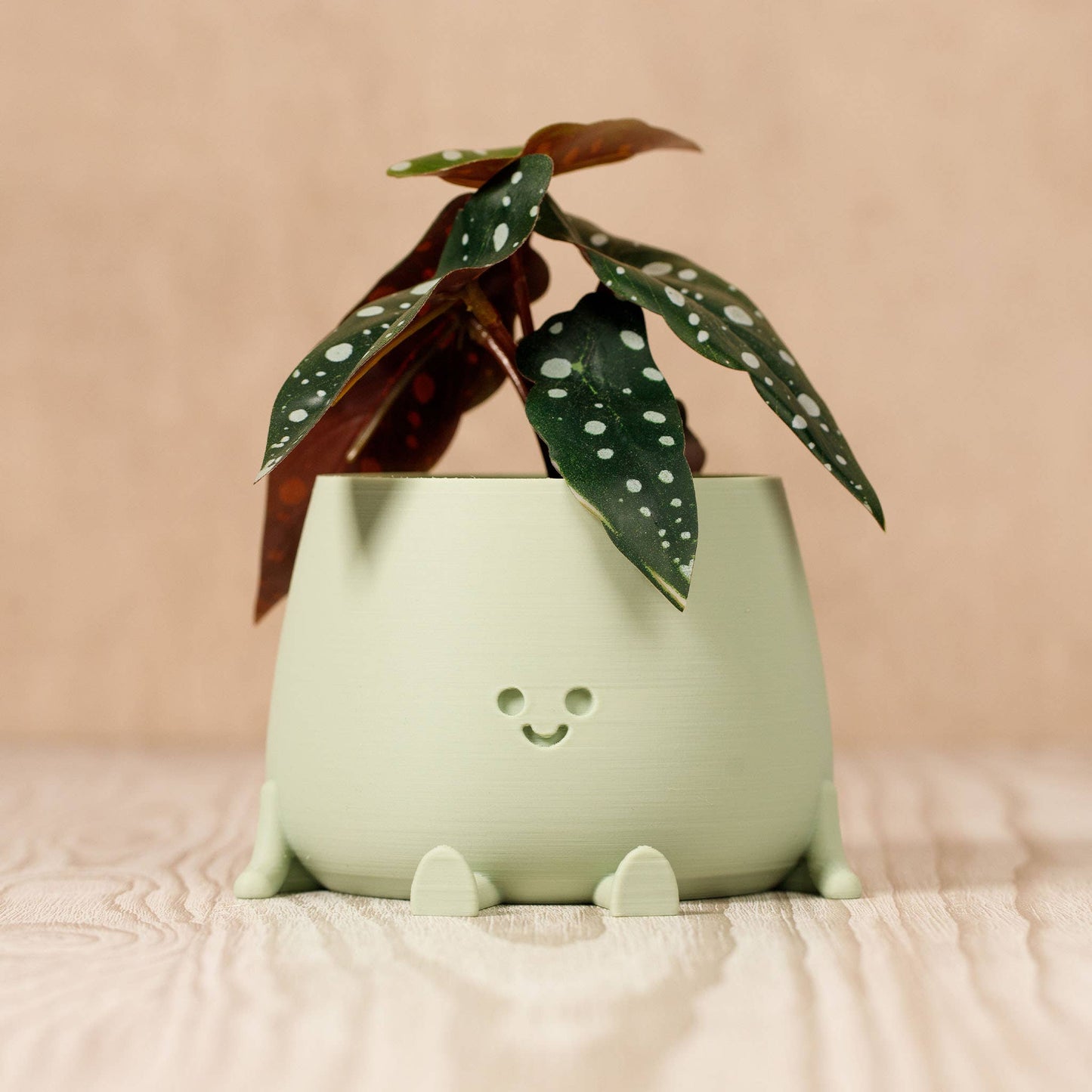 HAPPY POT - Sauge