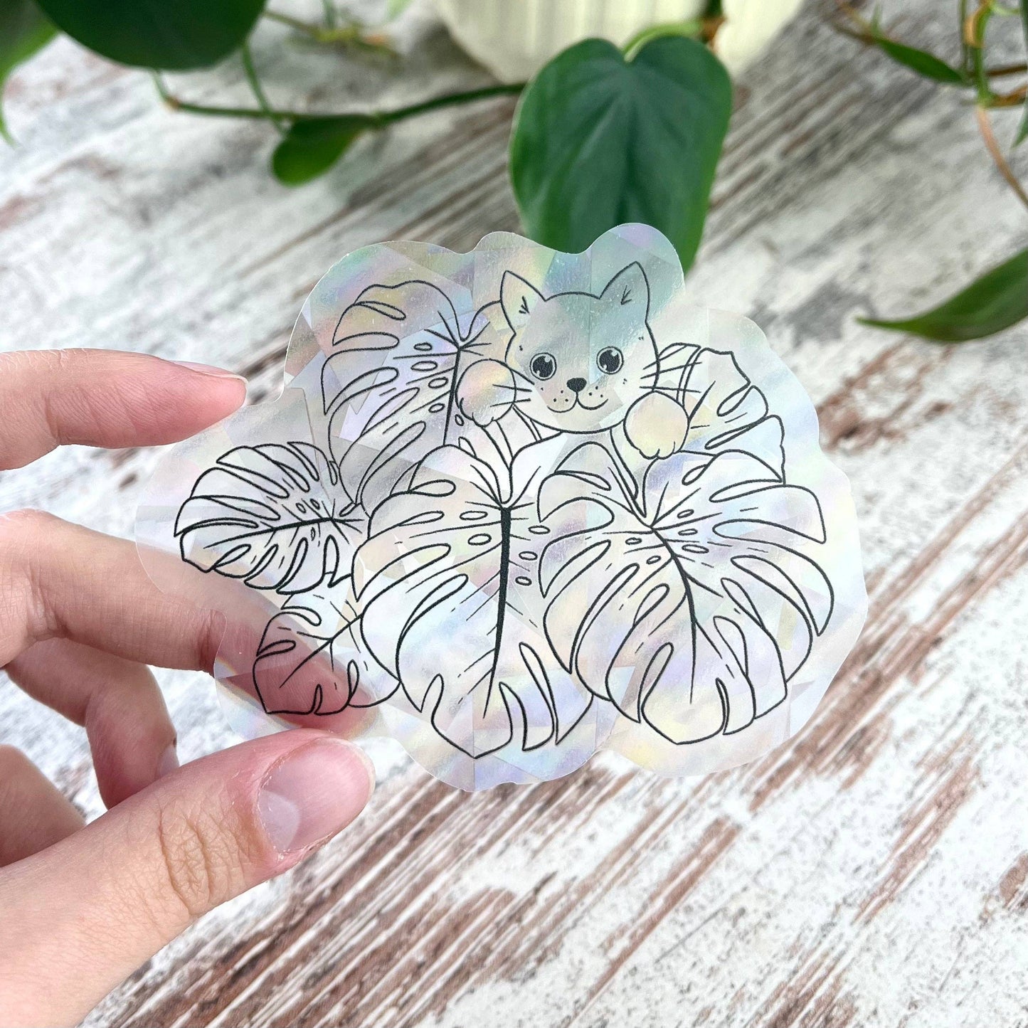 Attrape soleil - MONSTERA & CHAT