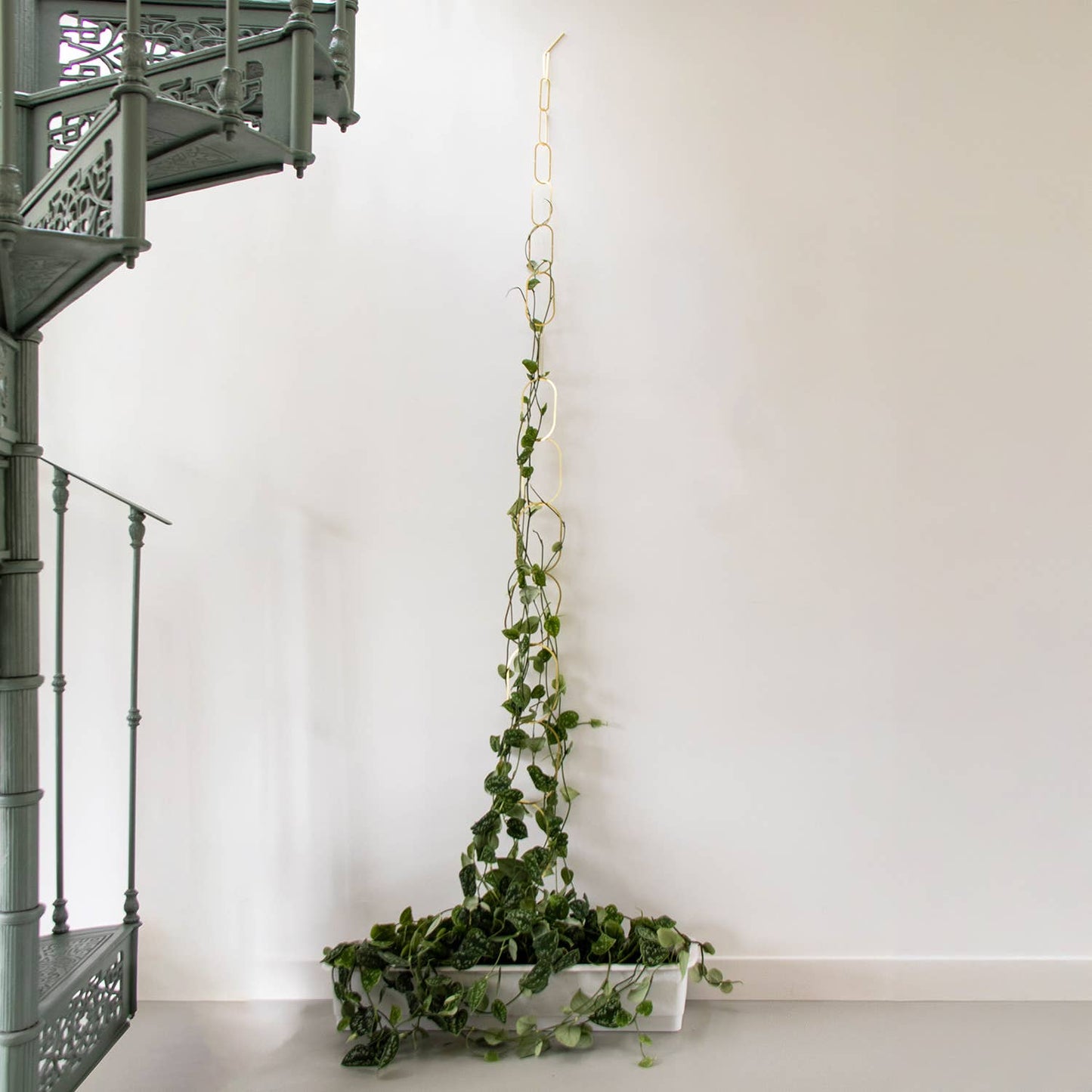 CHAINES EN LAITON pour plantes grimpantes
