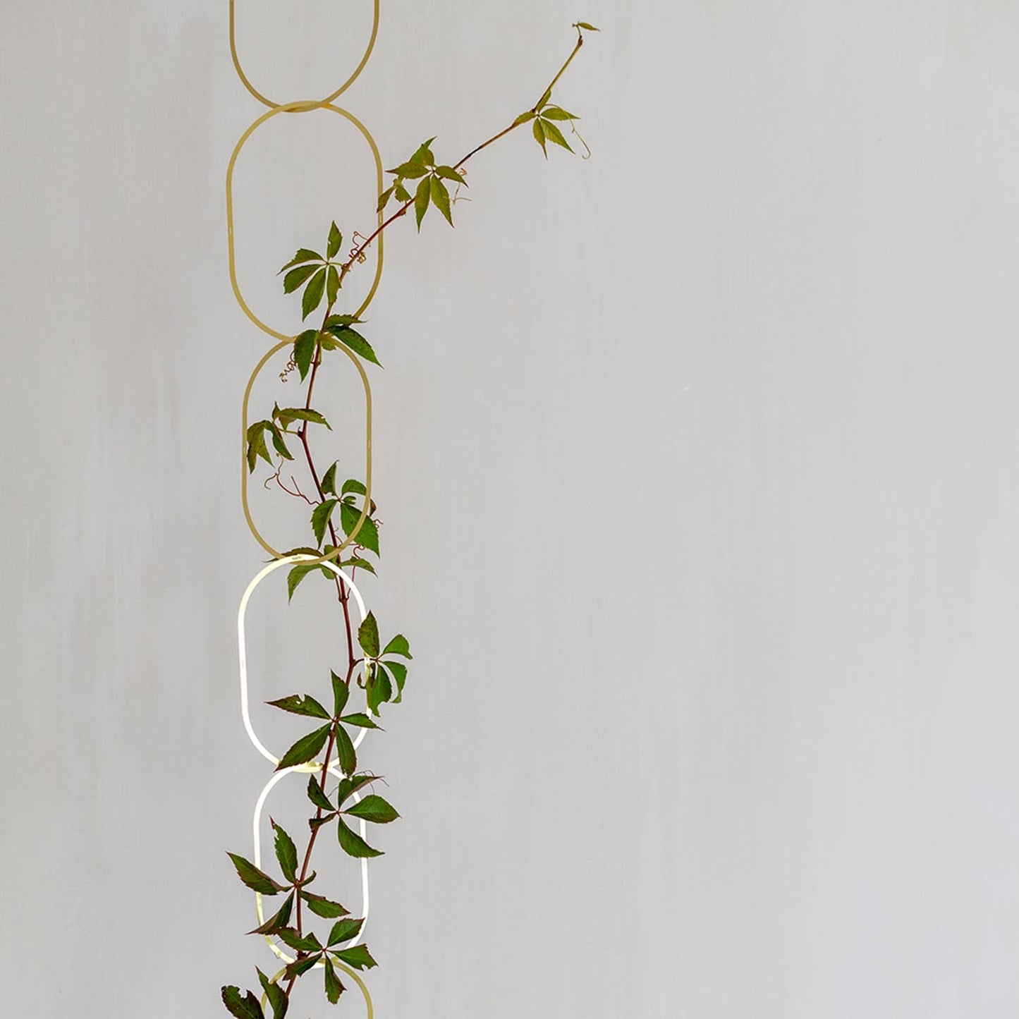 CHAINES EN LAITON pour plantes grimpantes