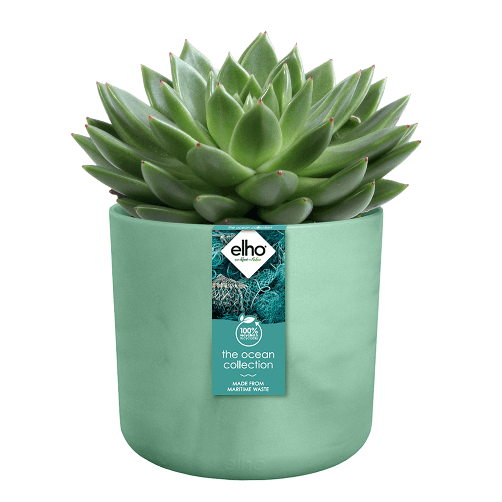 Cache-pot Elho THE OCEAN COLLECTION D.18