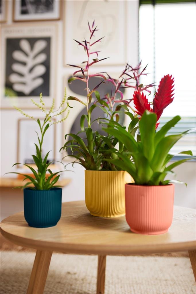 Cache-pot Elho VIBES FOLD mini D.9 cm