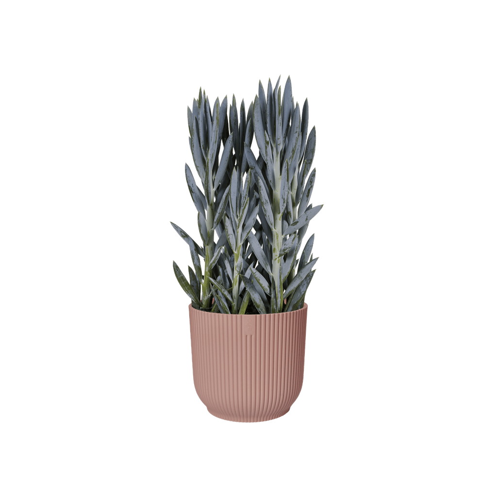 Cache-pot Elho VIBES FOLD D.16 cm